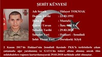 Hidayet Tokmak